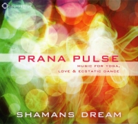 Shamans Dream - Prana Pulse (2013) MP3