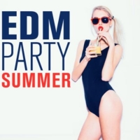 VA - EDM Party Summer (2016) MP3
