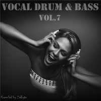 VA - Vocal Drum & Bass Vol.7 [Compiled by Zebyte] (2016) MP3
