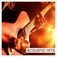 VA - Acoustic Hits (2016) MP3