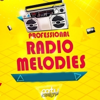 VA - Professional Dj Proud Radio (2016) MP3