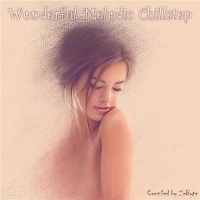 VA - Wonderful Melodic Chillstep [Compiled by Zebyte] (2016) MP3