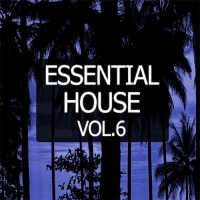 VA - Essential House Vol. 6 (2016) MP3