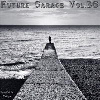 VA - Future Garage Vol.36 [Compiled by Zebyte] (2016) MP3