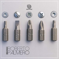 VA - PURA MUSIC V.A Selection By Roberto Palmero (2016) MP3