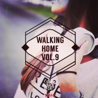 VA - Walking Home Vol.9 (2016) MP3