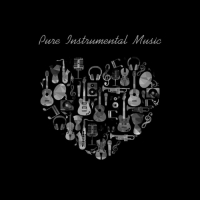 VA - Pure Instrumental Music (2016) MP3