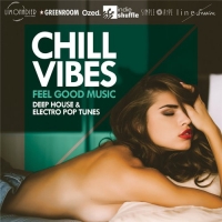 VA - Chill Vibes (2016) MP3