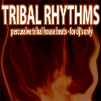 VA - Tribal Rhythms (Percussive Tribal House Beats) (2016) MP3