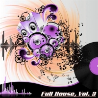 VA - Full House Vol. 3 (The Many Sounds of House Music) (2016) MP3