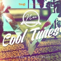 VA - Nu Collection: Cool Tunes, Electronic and Chill Tracks (2016) MP3