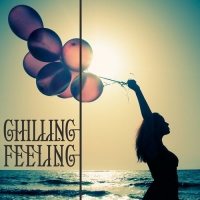 VA - Chilling Feeling (2016) MP3
