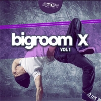 VA - Bigroom X Vol. 1 (2016) MP3