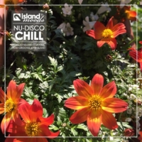 VA - Island Moods Nu-Disco Chill (2016) MP3