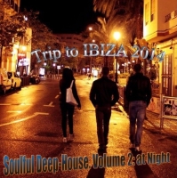 VA - Trip to Ibiza 2014 - Soulful Deep-House. Volume 2: at Night (2016) MP3