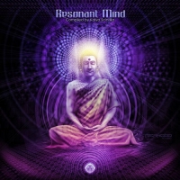 VA - Resonant Mind (2014) MP3
