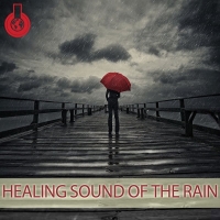 Mick Douglas - Healing Sound of the Rain (2016) MP3