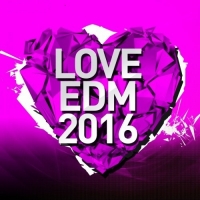 VA - Love EDM Vol.2 (2016) MP3
