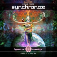 VA - Synchronize (2016) MP3