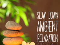 VA - Slow Down Ambient Relaxation Vol. 1 (2016) MP3