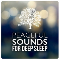 VA - Peaceful Sounds for Deep Sleep (2016) MP3