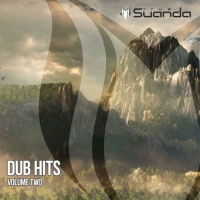 VA - Dub Hits Vol.2 (2016) MP3