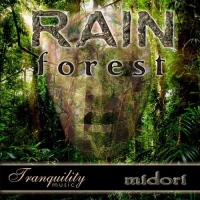Midori - Rainforest (2007) MP3  BestSound ExKinoRay
