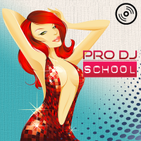 VA - Pro Dj School World (2016) MP3