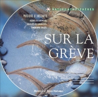 Yogitea - Nature Atmospheres: Sur La Greve (2003) MP3  BestSound ExKinoRay