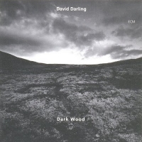 David Darling - Dark Wood (1995) MP3  BestSound ExKinoRay