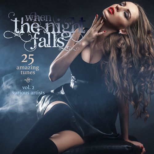 VA - When The Night Falls (25 Amazing Tunes) Vol.1-4 (2016) MP3