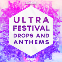 VA - Festival Ultra Hits and Anthems (2016) MP3