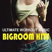 VA - Ultimate Workout Music: Bigroom Hits (2016) MP3