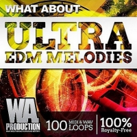 VA - About Ultra EDM Melodies (2016) MP3