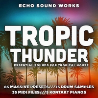 VA - Tropical Thunder House Massive (2016) MP3