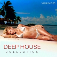 VA - Deep House Collection Vol.85 (2016) MP3