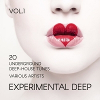 VA - Experimental Deep - 20 Underground Deep-House Tunes Vol.1 (2016) MP3