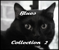 VA - Blues Collection 2 (2016) MP3