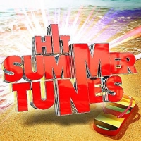 VA - Hit Summer Tunes - Positive Roots (2016) MP3
