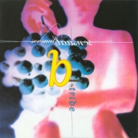 B-Tribe - Sensual Sensual (1998) MP3  BestSound ExKinoRay