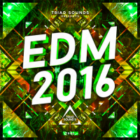 VA - EDM Presents EDM The Compilation, Volume 4 (2016) MP3