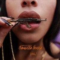 VA - Gangsta House Vol.2 [Compiled by Zebyte] (2016) MP3