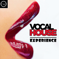 VA - Vocal House Experience Voyage (2016) MP3
