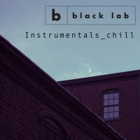 Black Lab - Instrumentals chill (2016) MP3  BestSound ExKinoRay