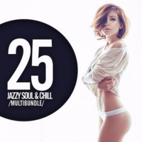 VA - 25 Jazzy Soul and Chill Multibundle (2016) MP3