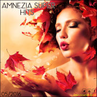 VA - Amnezia Super Hits 05 (2016) MP3