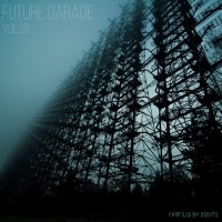VA - Future Garage Vol.38 [Compiled by Zebyte] (2016) MP3