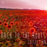 VA - Back to the Roots Collection Vol. 1 (Selection of Deep House) (2016) MP3