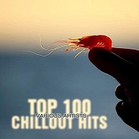 VA - Top 100 Chillout Hits (2016) MP3