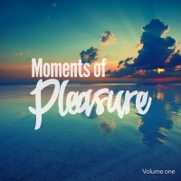 VA - Moments of Pleasure Vol.1 (2016) MP3